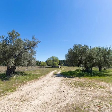 Finca El Palomar De La Vina Madrid Exteriör bild